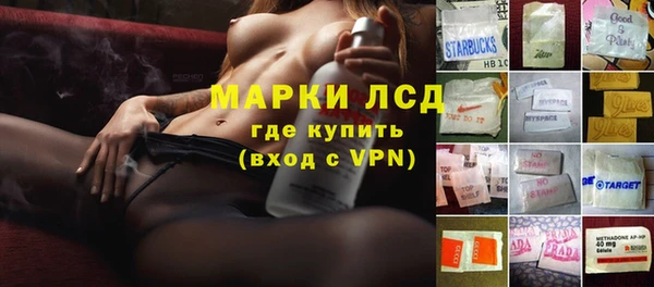 гидра Богородицк
