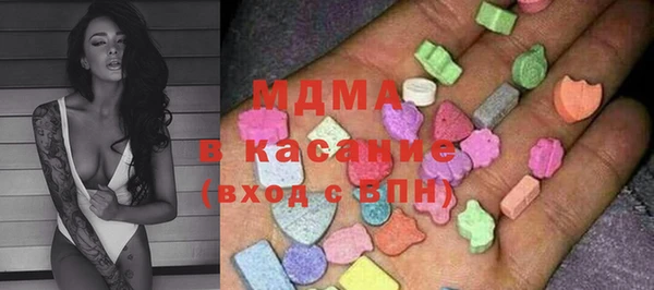 гидра Богородицк
