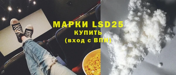 гидра Богородицк