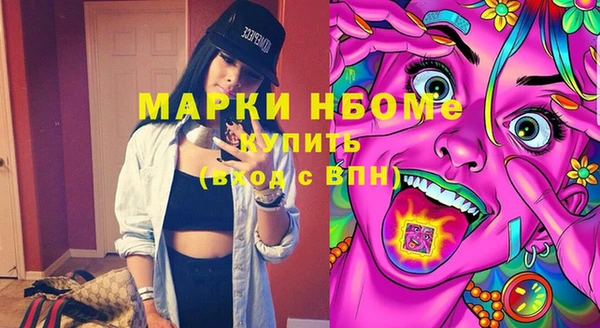 шишки Богородск