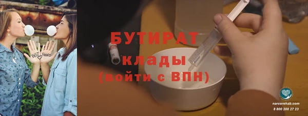 гидра Богородицк