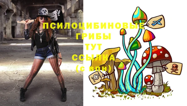 шишки Богородск