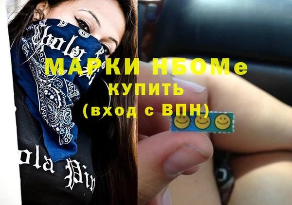 шишки Богородск