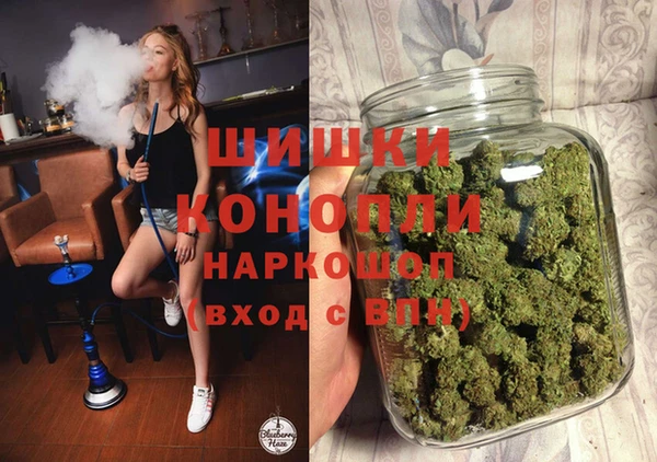 гидра Богородицк