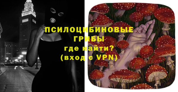 гидра Богородицк