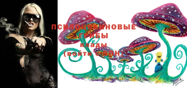 шишки Богородск