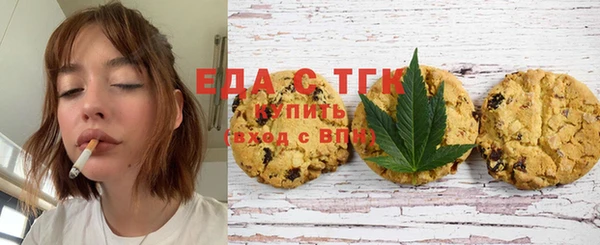 гидра Богородицк