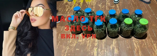 гидра Богородицк