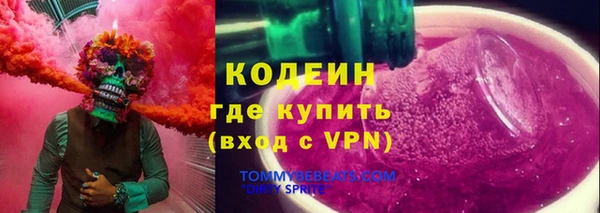 гидра Богородицк